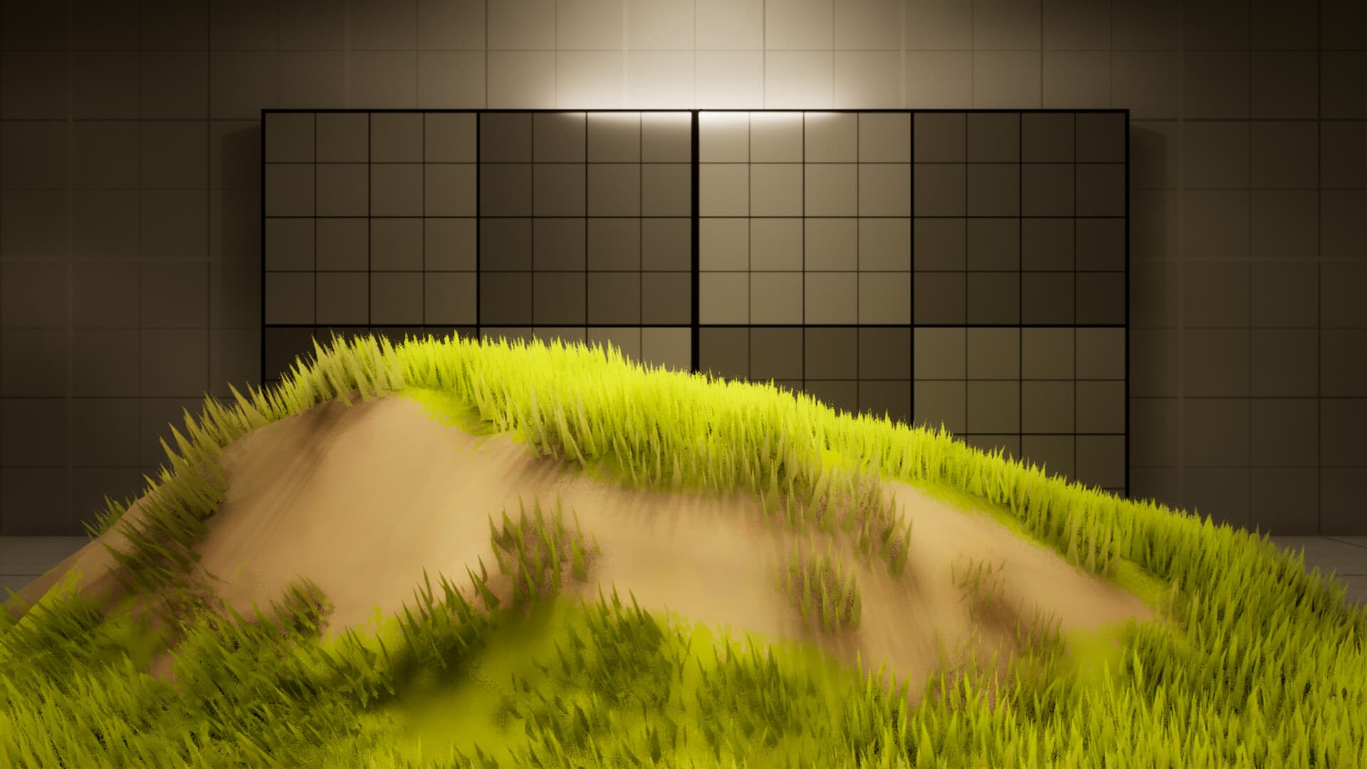 Image3